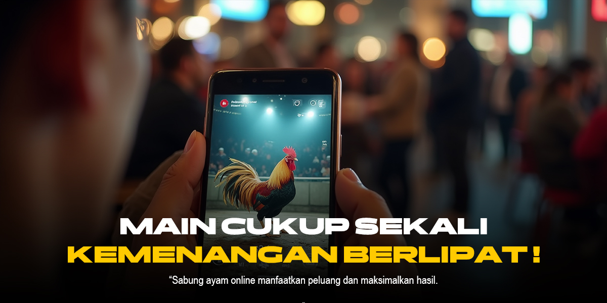 Kenali Ayam Bangkok: Raja Arena Sabung Ayam SV388