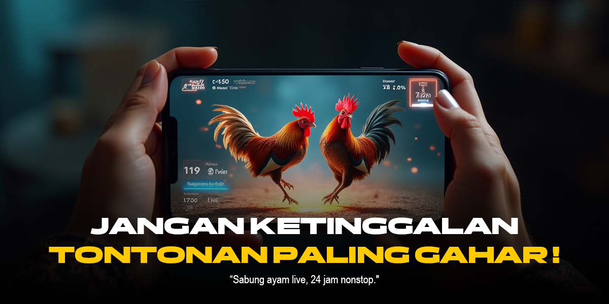 Sabung Ayam S128: Adu Ayam Terbaik dengan Odds Menggiurkan